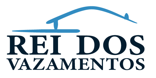 Logo rei dos vazamentos vertical